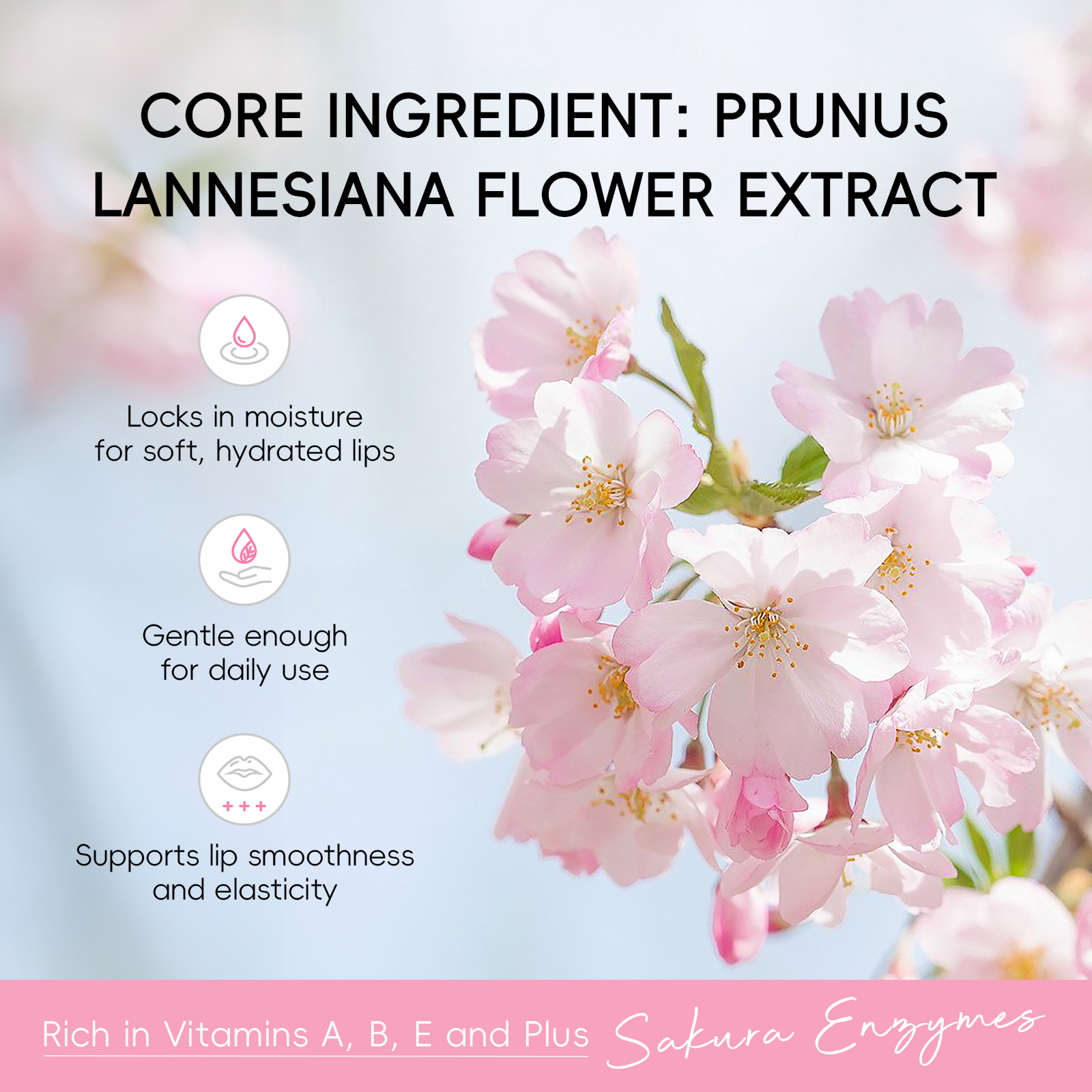 LAIKOU Japan Sakura Skin Care  - Skincare Pink review and price